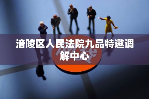 涪陵区人民法院九品特邀调解中心