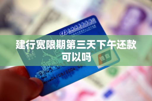 建行宽限期第三天下午还款可以吗
