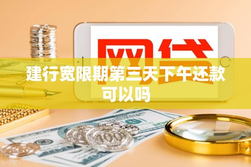 建行宽限期第三天下午还款可以吗