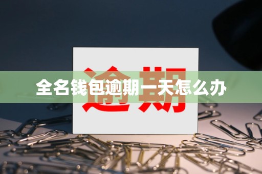 全名钱包逾期一天怎么办 全名钱包逾期一天怎么办