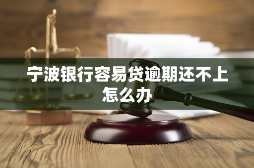 宁波银行容易贷逾期还不上怎么办 宁波银行容易贷逾期还不上怎么办
