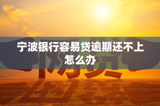 宁波银行容易贷逾期还不上怎么办 宁波银行容易贷逾期还不上怎么办