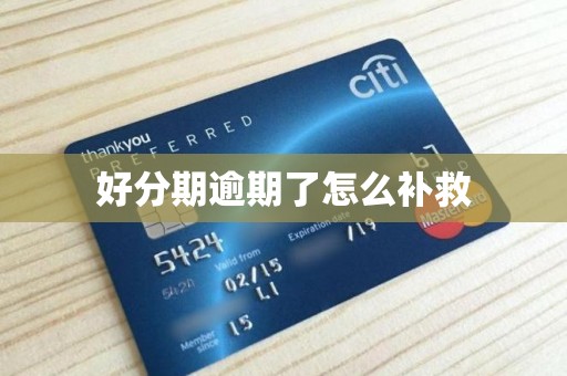 好分期逾期了怎么补救