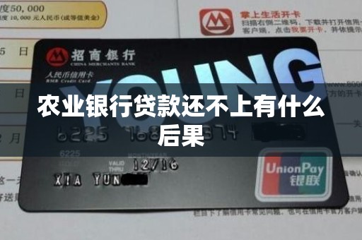 农业银行贷款还不上有什么后果