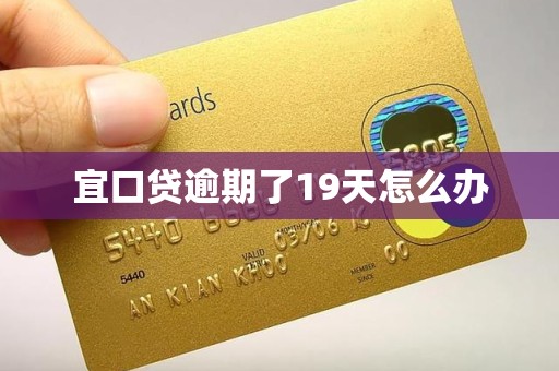 宜口贷逾期了19天怎么办