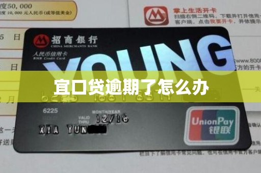 宜口贷逾期了怎么办