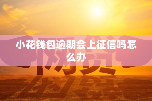 小花钱包逾期会上征信吗怎么办 小花钱包逾期会上征信吗怎么办
