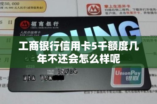 工商银行信用卡5千额度几年不还会怎么样呢