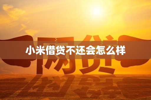 小米借贷不还会怎么样 小米借贷不还会怎么样