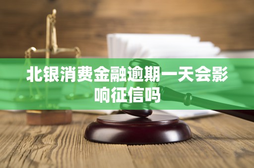 北银消费金融逾期一天会影响征信吗