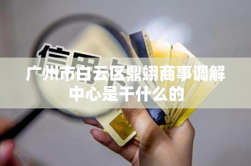 广州市白云区鼎翊商事调解中心是干什么的