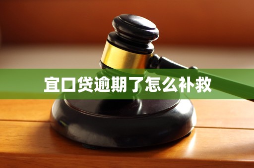 宜口贷逾期了怎么补救