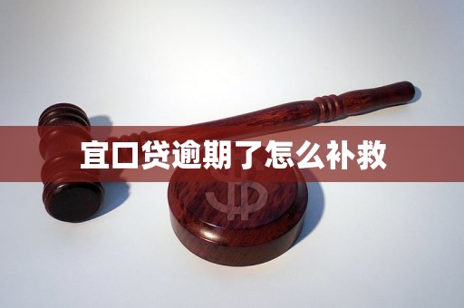 宜口贷逾期了怎么补救
