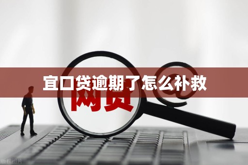 宜口贷逾期了怎么补救