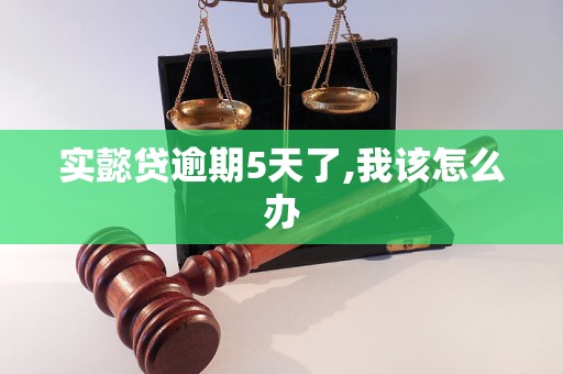 实懿贷逾期5天了,我该怎么办