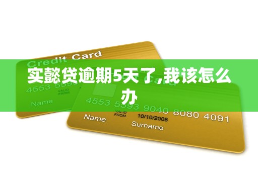 实懿贷逾期5天了,我该怎么办