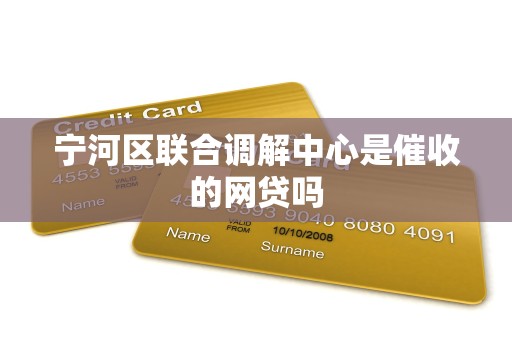 宁河区联合调解中心是催收的网贷吗 宁河区联合调解中心是催收的网贷吗