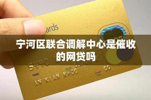 宁河区联合调解中心是催收的网贷吗 宁河区联合调解中心是催收的网贷吗