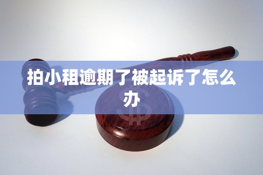 拍小租逾期了被起诉了怎么办