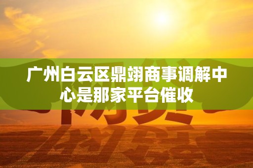 广州白云区鼎翊商事调解中心是那家平台催收 广州白云区鼎翊商事调解中心是那家平台催收