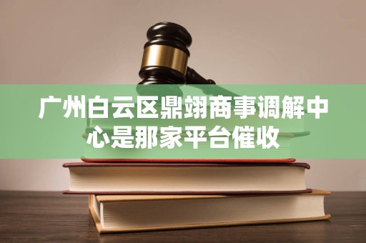 广州白云区鼎翊商事调解中心是那家平台催收 广州白云区鼎翊商事调解中心是那家平台催收