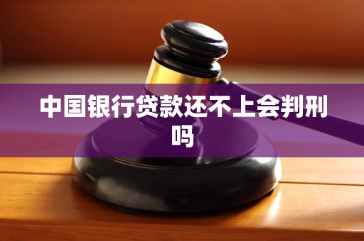 中国银行贷款还不上会判刑吗