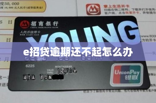 e招贷逾期还不起怎么办