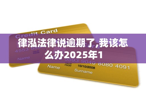 律泓法律说逾期了,我该怎么办2025年1