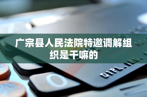 广宗县人民法院特邀调解组织是干嘛的