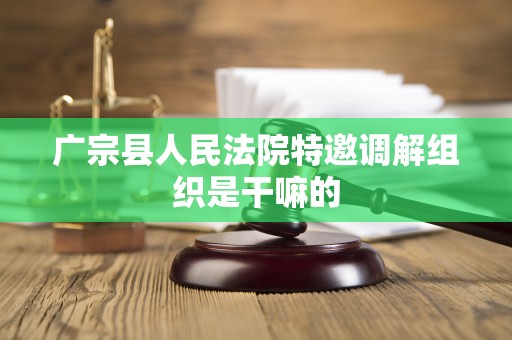 广宗县人民法院特邀调解组织是干嘛的
