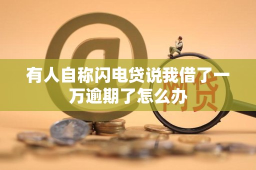 有人自称闪电贷说我借了一万逾期了怎么办