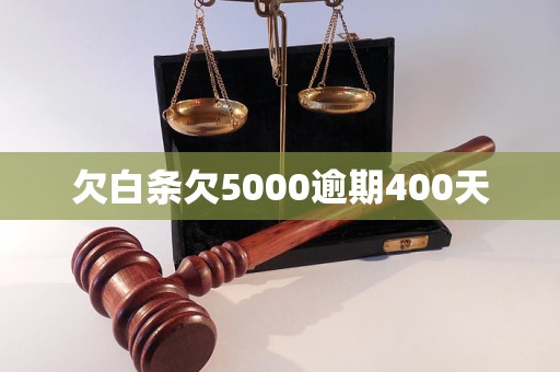 欠白条欠5000逾期400天