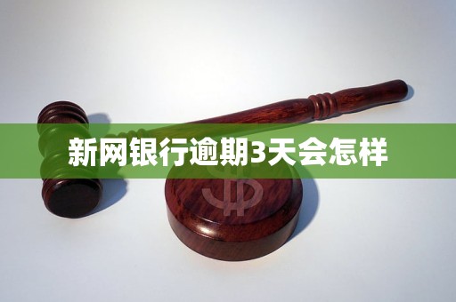 新网银行逾期3天会怎样