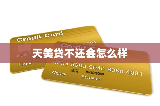 天美贷不还会怎么样 天美贷不还会怎么样