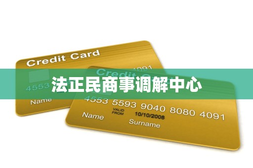 法正民商事调解中心