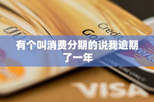 有个叫消费分期的说我逾期了一年