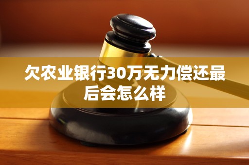 欠农业银行30万无力偿还最后会怎么样 欠农业银行30万无力偿还最后会怎么样