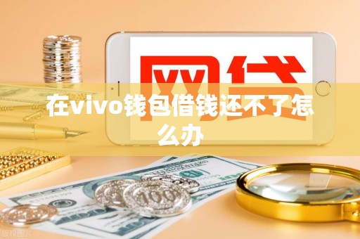 在vivo钱包借钱还不了怎么办