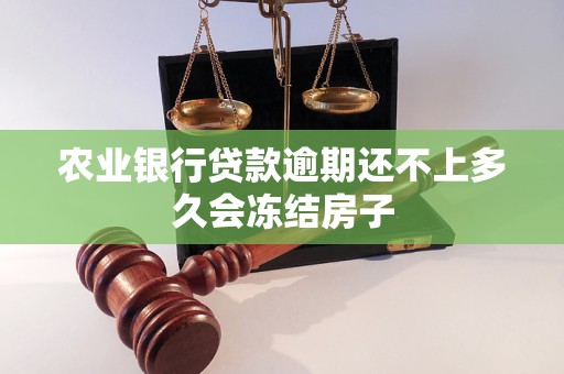 农业银行贷款逾期还不上多久会冻结房子