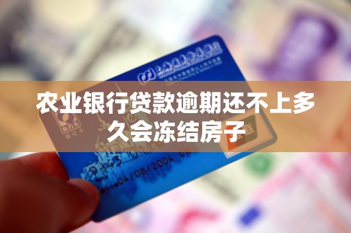 农业银行贷款逾期还不上多久会冻结房子