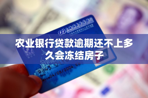 农业银行贷款逾期还不上多久会冻结房子