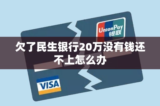 欠了民生银行20万没有钱还不上怎么办 欠了民生银行20万没有钱还不上怎么办