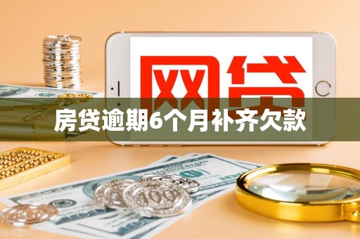 房贷逾期6个月补齐欠款