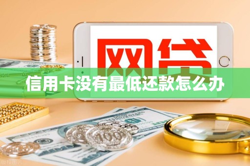 信用卡没有最低还款怎么办
