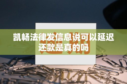 凯畅法律发信息说可以延迟还款是真的吗