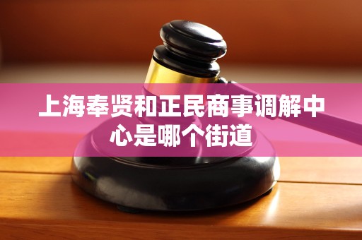 上海奉贤和正民商事调解中心是哪个街道