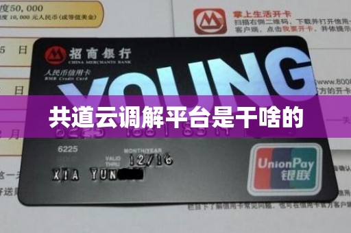 共道云调解平台是干啥的 共道云调解平台是干啥的