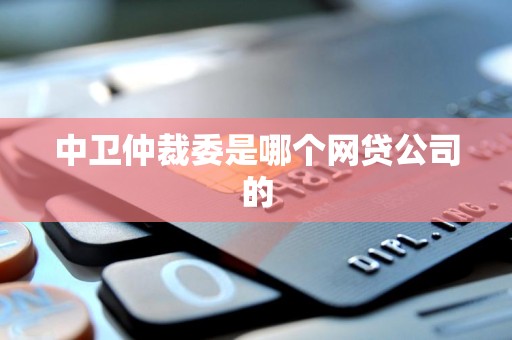 中卫仲裁委是哪个网贷公司的