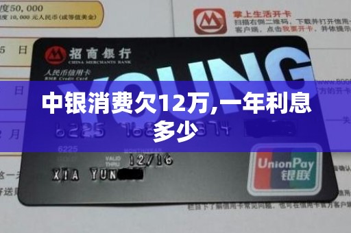 中银消费欠12万,一年利息多少 中银消费欠12万,一年利息多少