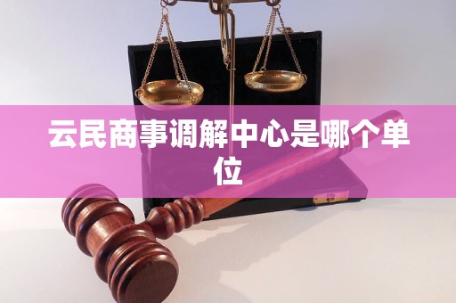 云民商事调解中心是哪个单位 云民商事调解中心是哪个单位